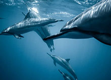 华体会：把热爱变成日常的运动新体验