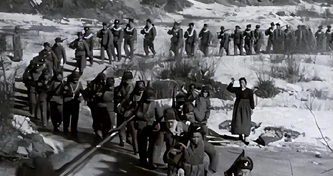 二百多名军官被枪毙、撤职、处分，长津湖战役中失职的志愿军88师