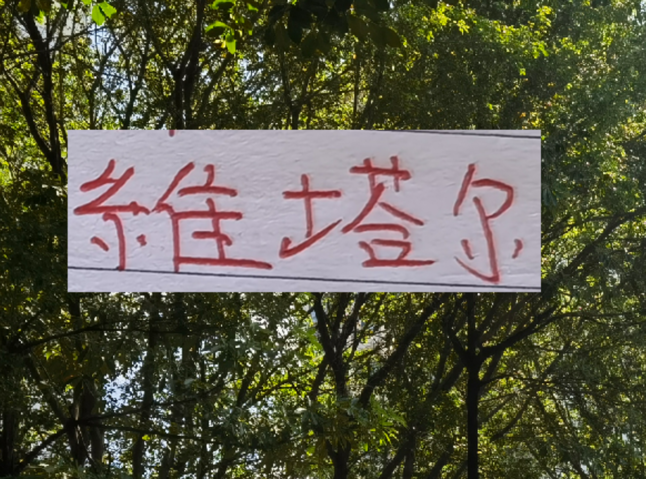 九游体育下载-上个赛季中超前4的十号 就海港10号维塔尔助攻最多 出场也最多